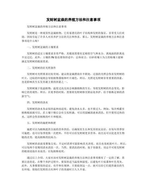 发财树盆栽的养殖方法和注意事项