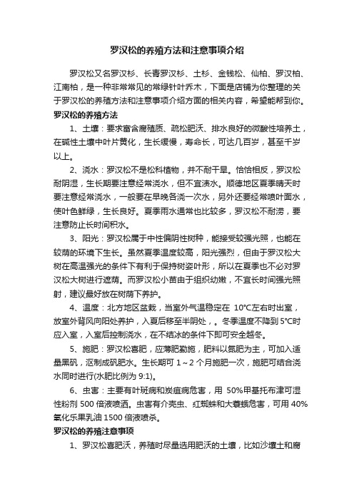 罗汉松的养殖方法和注意事项介绍