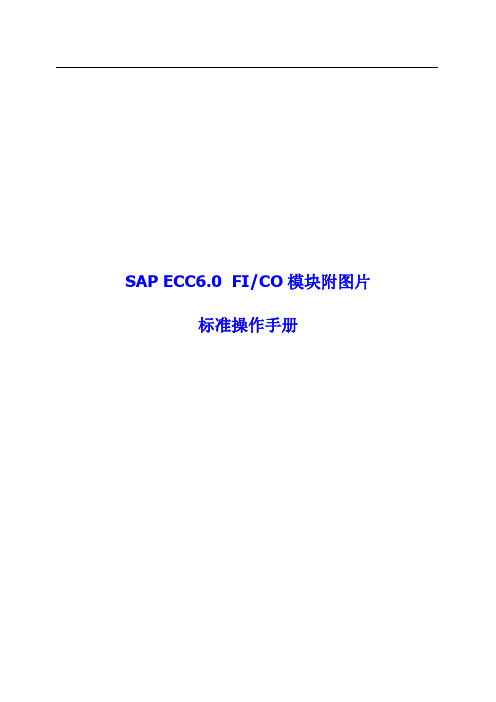 SAP ECC6.0 FICO财务模块附图片标准操作手册