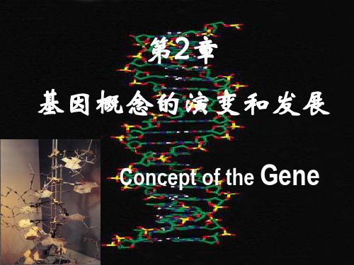 分子生物学第二章基因的概念21