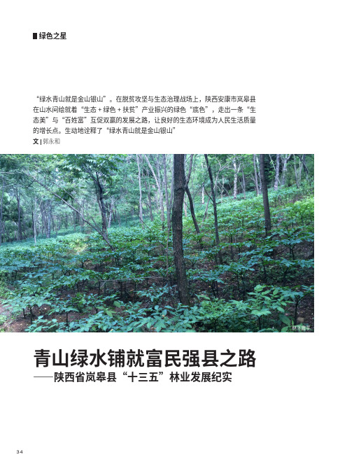 青山绿水铺就富民强县之路——陕西省岚皋县“十三五”林业发展纪实