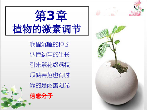 人教版高中生物必修三植物生长素的发现-ppt精品课件2