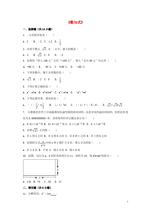 中考数学分类复习数与式练习题含答案