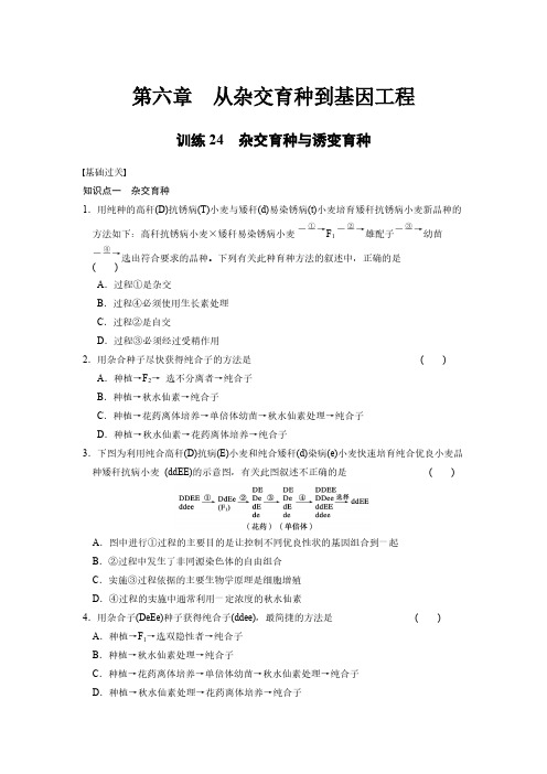 高一必修2生物步步高习题与答案