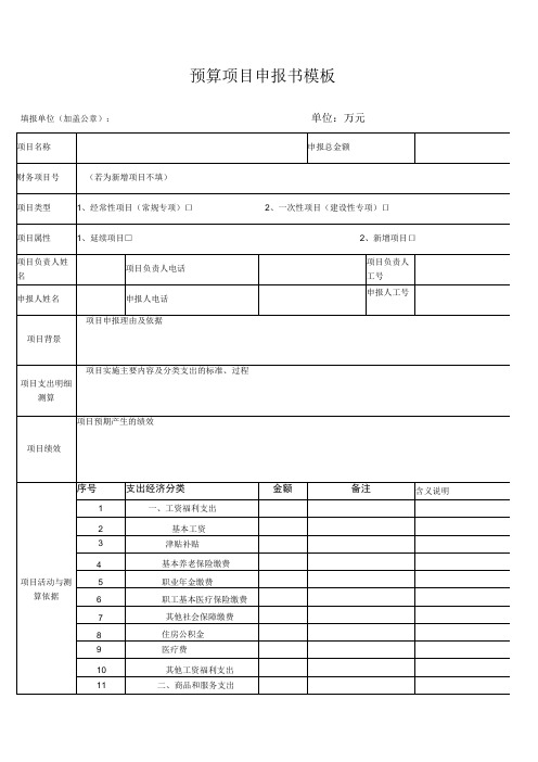 预算项目申报书模板