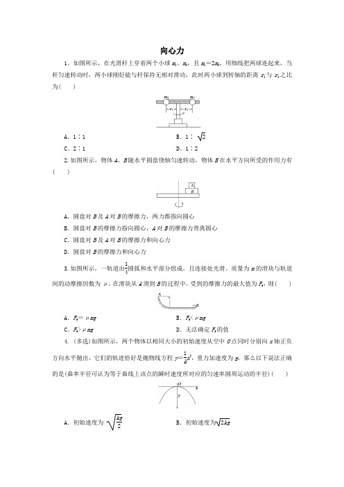 人教版高一物理必修2  5.6向心力同步测试