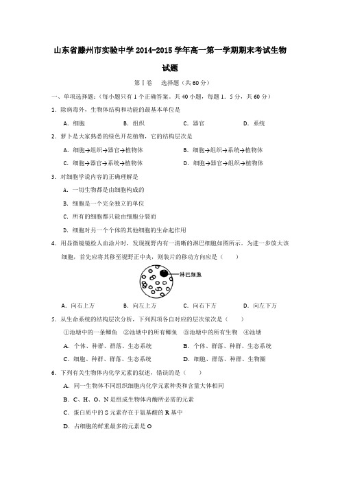 山东省滕州市实验中学2014-2015学年高一第一学期期末考试生物试题