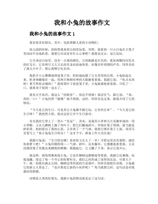 我和小兔的故事作文