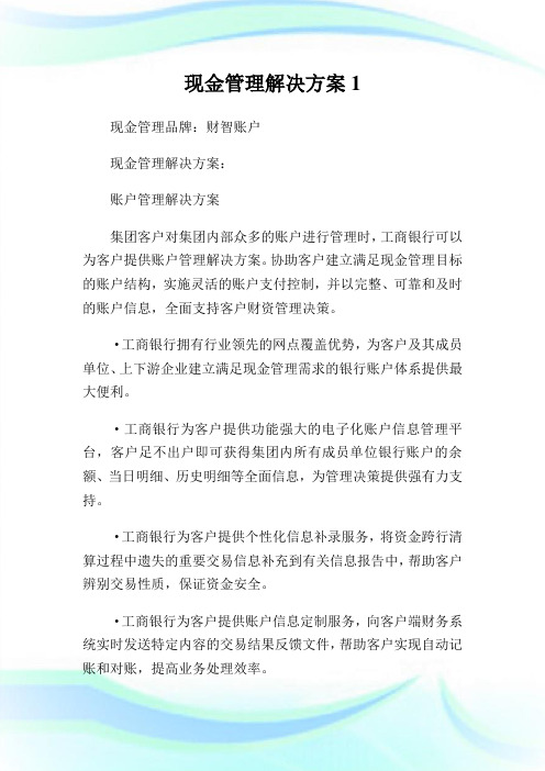 现金管理解决方案1.doc