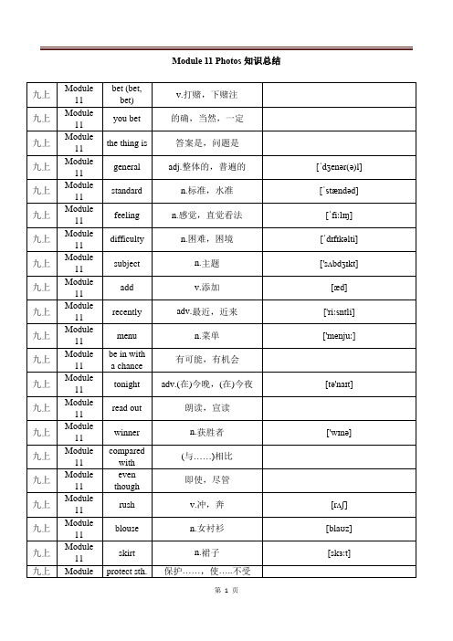 Module 11 Photos知识总结  外研版英语九年级上册