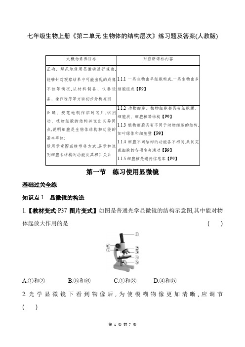 七年级生物上册《第二单元 生物体的结构层次》练习题及答案(人教版)