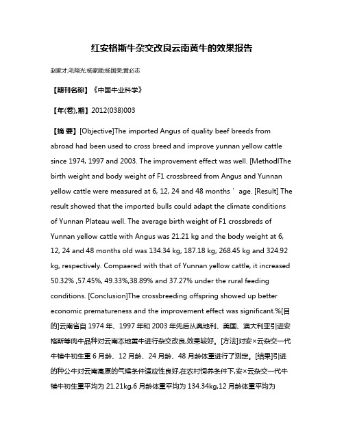 红安格斯牛杂交改良云南黄牛的效果报告