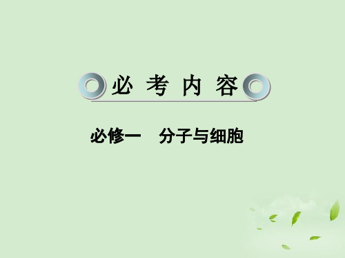 2013年高考生物一轮复习讲义 1-1 走近细胞课件 新人教版必修1