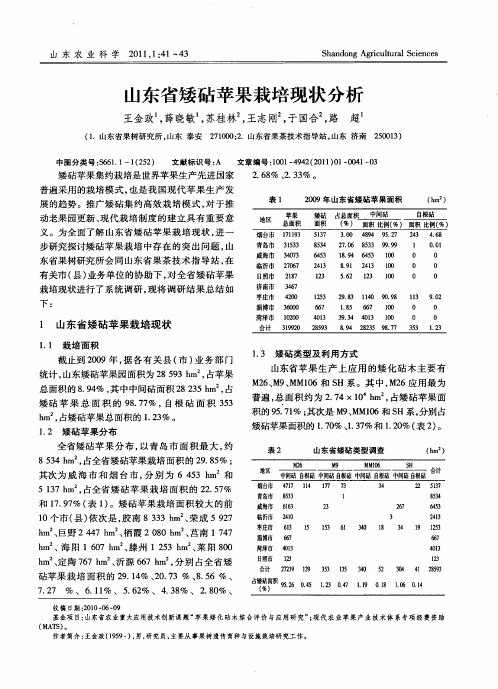 山东省矮砧苹果栽培现状分析