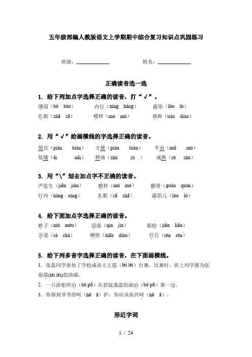 五年级部编人教版语文上学期期中综合复习知识点巩固练习