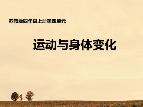 运动与身体变化