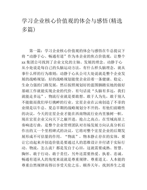 学习企业核心价值观的体会与感悟(精选多篇)