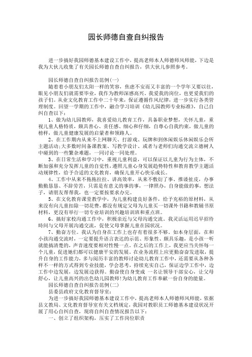 园长师德自查自纠报告