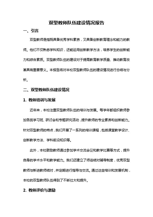 双型教师队伍建设情况报告