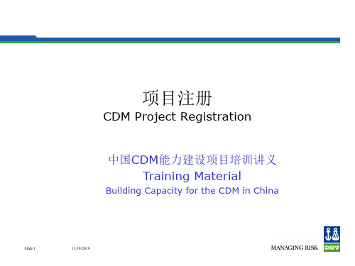 项目注册CDMProjectRegistration
