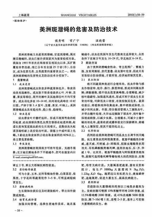 美洲斑潜蝇的危害及防治技术