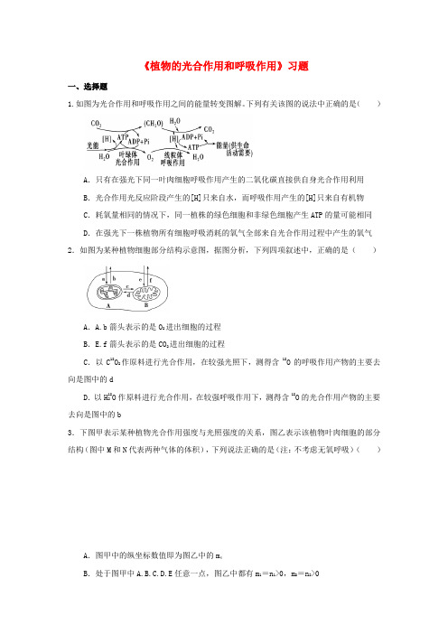 八年级科学上册 第4章 植物的物质和能量的转化 4《植物的光合作用和呼吸作用》习题1(无答案)(