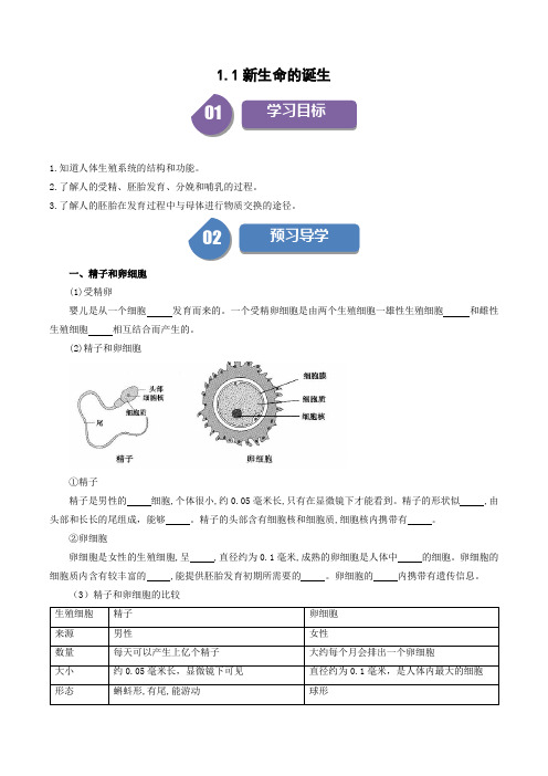 11新生命的诞生-七年级科学下册学与练(浙教版)(原卷版)