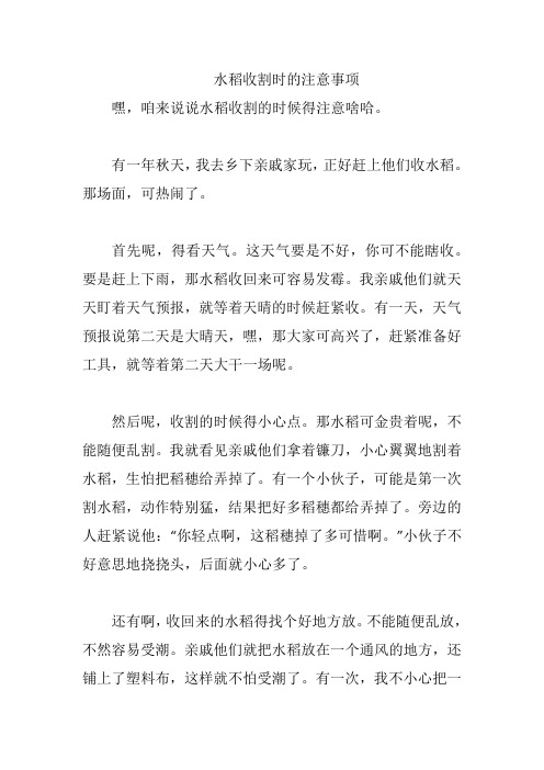 水稻收割时的注意事项