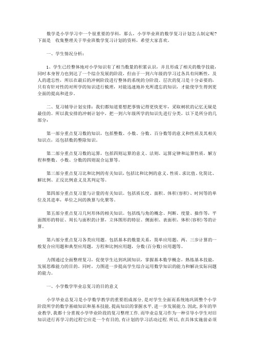 毕业班数学复习计划【精品】