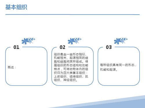 家畜解剖-基本组织