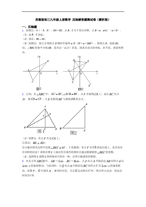 苏教版初三九年级上册数学 压轴解答题测试卷(解析版)