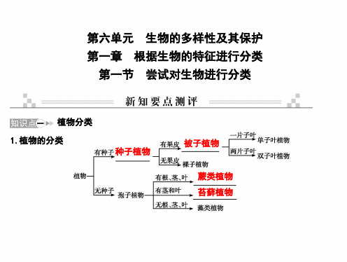 最新人教版八年级上册生物 第一章 根据生物的特征进行分类 第一节 尝试对生物进行分类