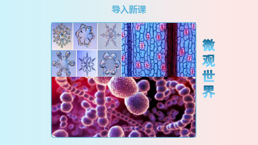 人教版八年级物理上册《显微镜和望远镜》课件(共37张幻灯片)