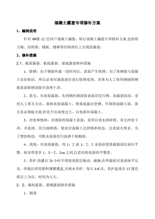 混凝土结构露筋专项修补方案