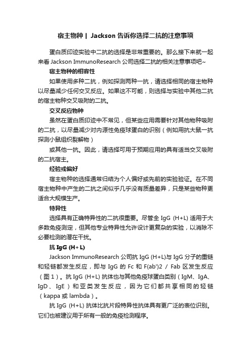 宿主物种丨Jackson告诉你选择二抗的注意事项