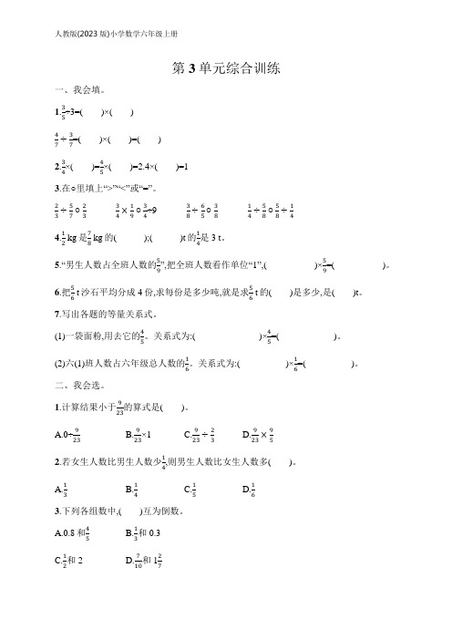 小学数学(2023版)六年级上册课后习题第3单元综合训练(含答案)【可编辑可打印】