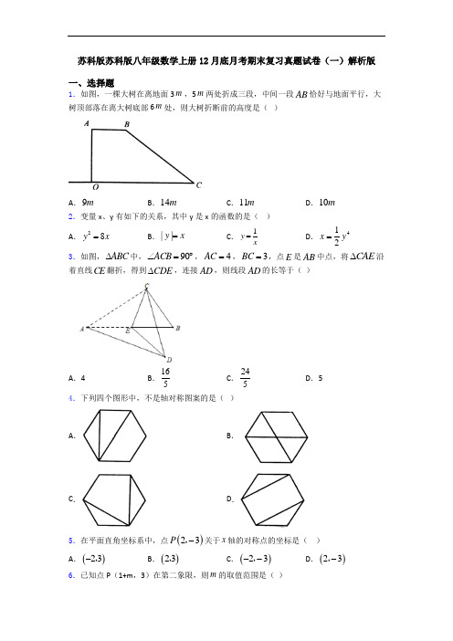 苏科版苏科版八年级数学上册12月底月考期末复习真题试卷(一)解析版