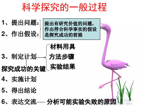 科学探究的一般过程