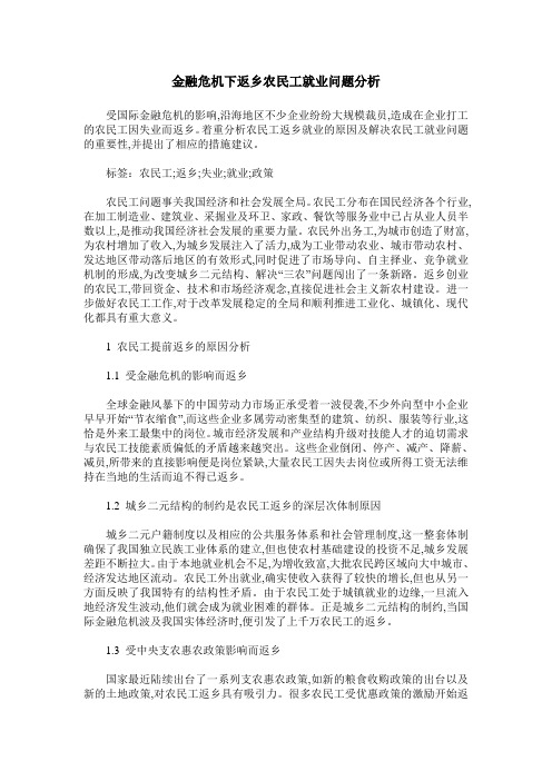 金融危机下返乡农民工就业问题分析