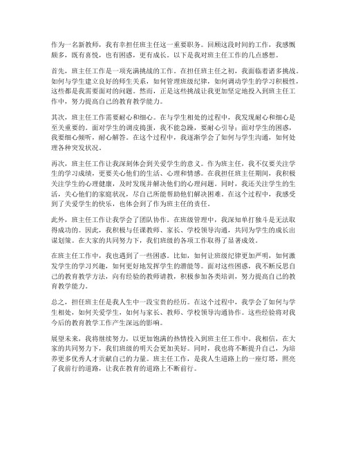 新教师班主任工作的感想