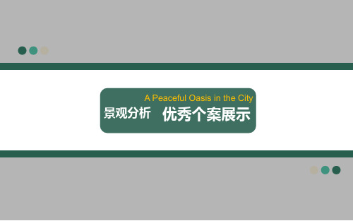 《优秀景观案例分析》PPT课件