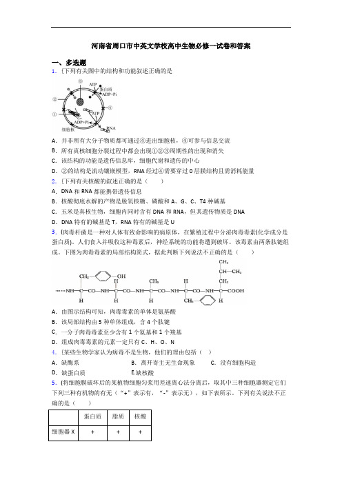 河南省周口市中英文学校高中生物必修一试卷和答案