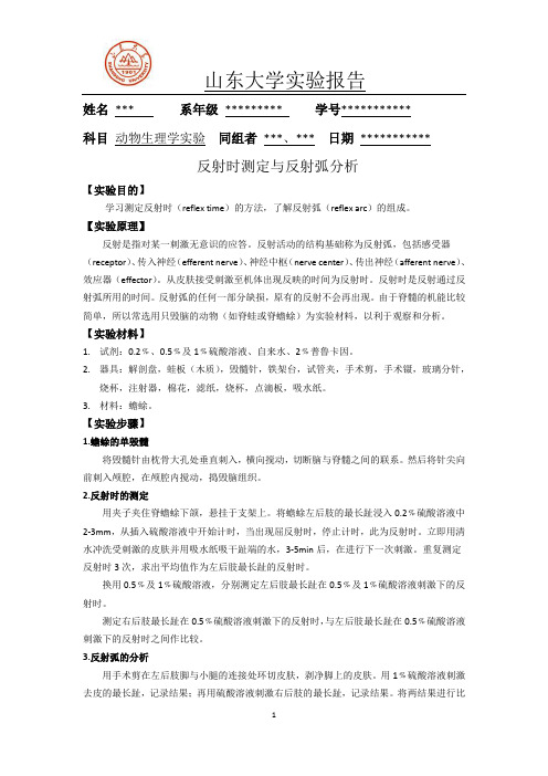 反射时测定与反射弧分析