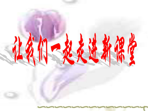 语文苏教版七下课件三颗枸杞豆