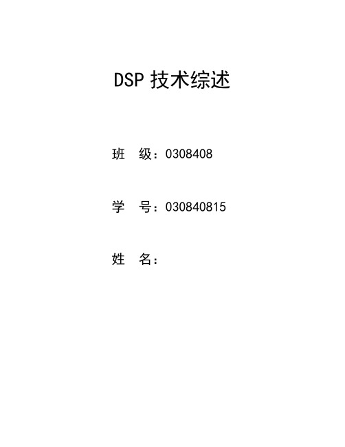 DSP技术综述论文