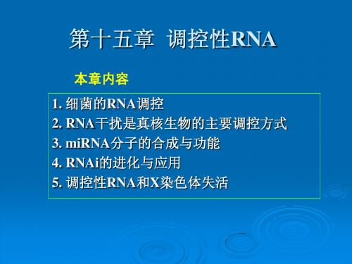 15 第十五章__调控性RNA