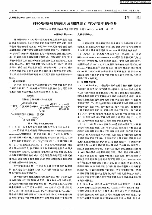 神经管畸形的病因及细胞凋亡在发病中的作用