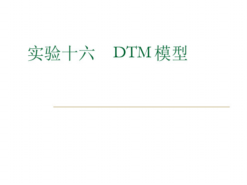 实验十六 DTM模型讲解