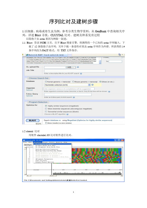 序列比对及建树步骤