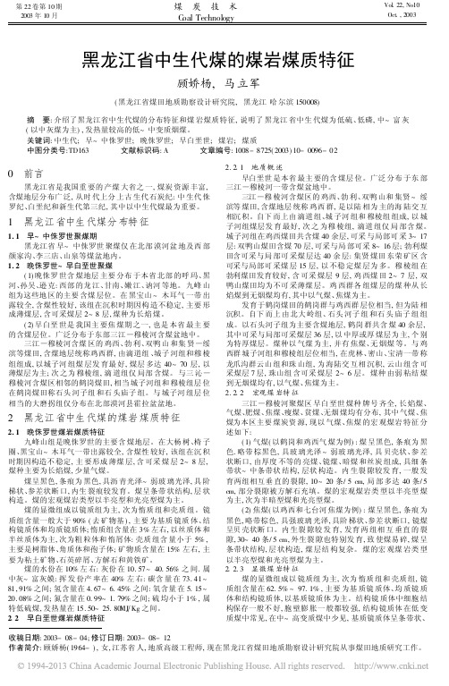 黑龙江省中生代煤的煤岩煤质特征